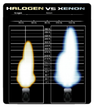 halogen bulb vs hid